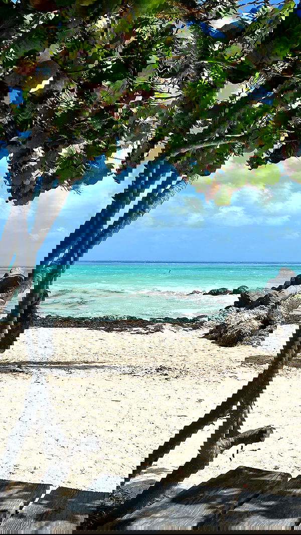 payton.r payton.r archive image