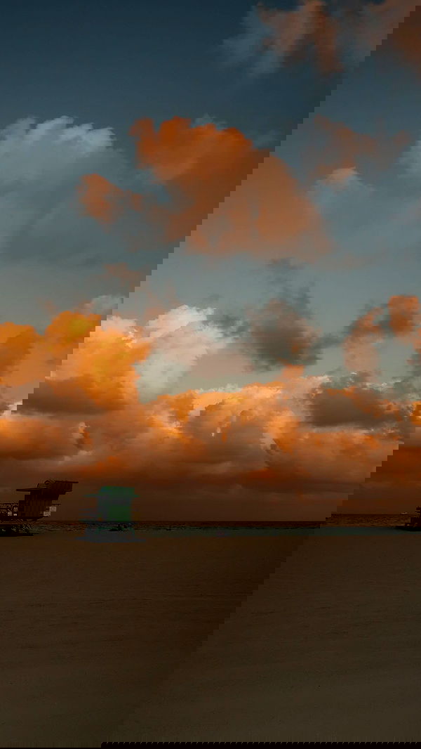 payton.r payton.r archive image