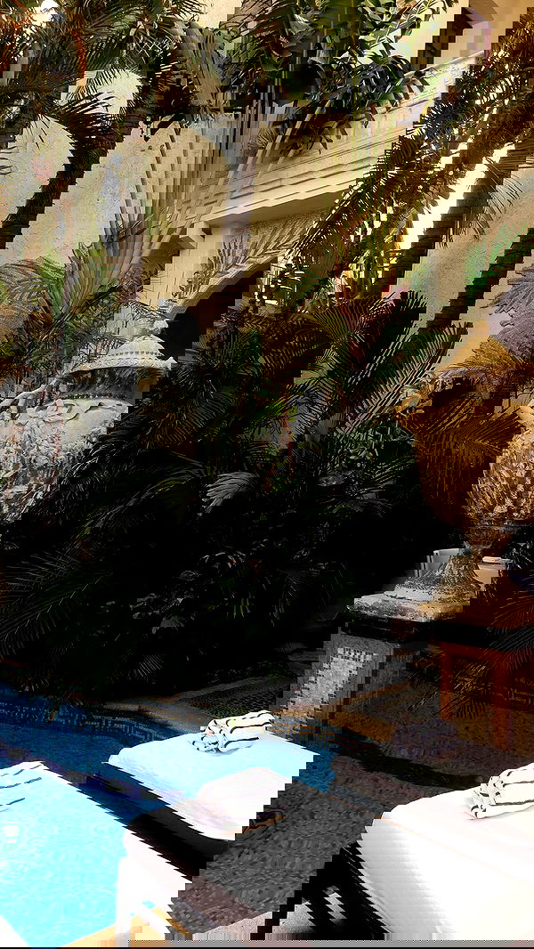 payton.r payton.r archive image