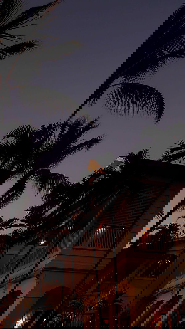 payton.r payton.r archive image