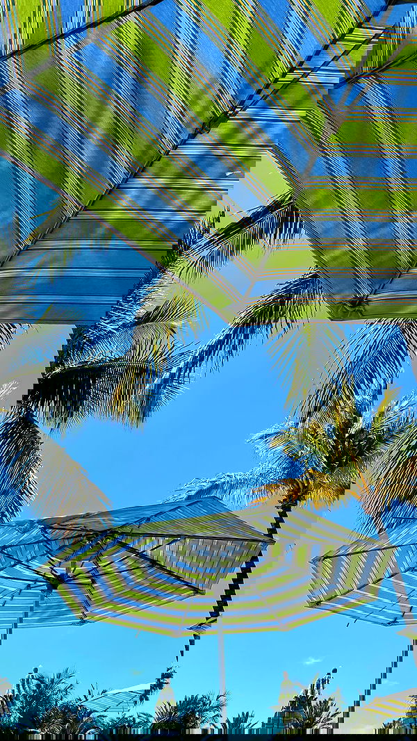 payton.r payton.r archive image