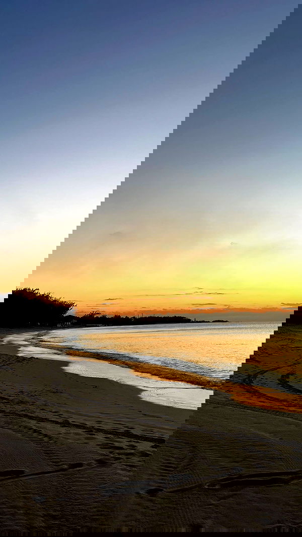 payton.r payton.r archive image