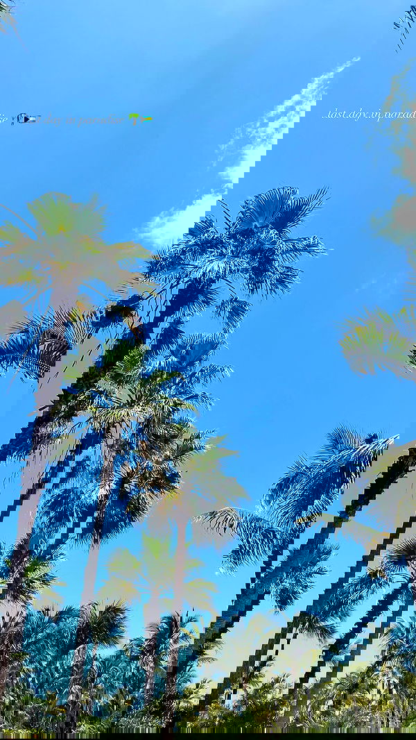 payton.r payton.r archive image