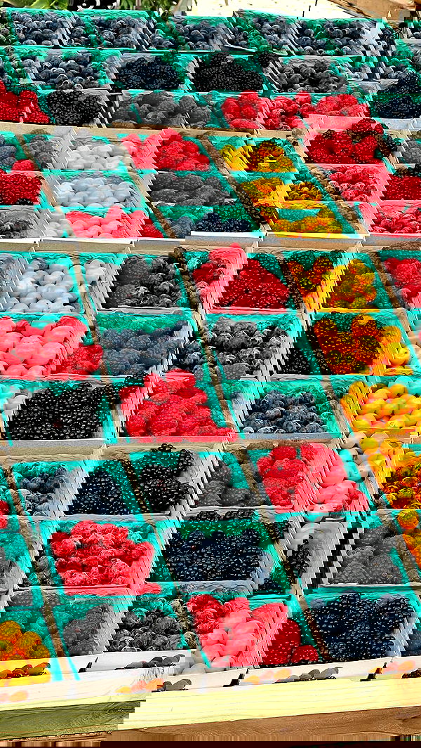 payton.r payton.r archive image