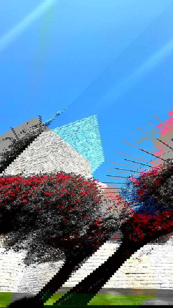 payton.r payton.r archive image