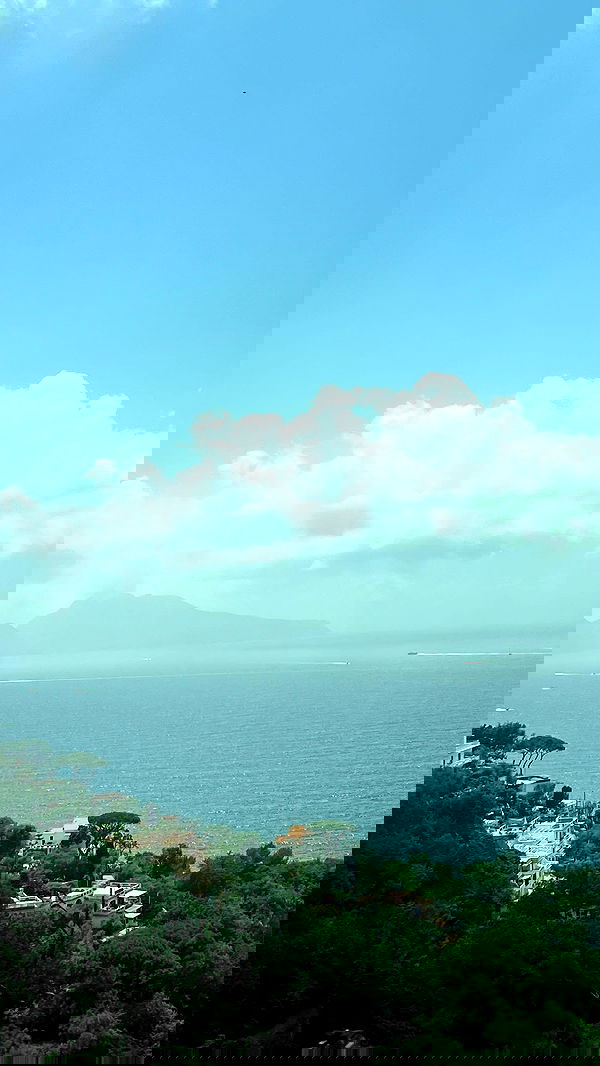 payton.r payton.r archive image