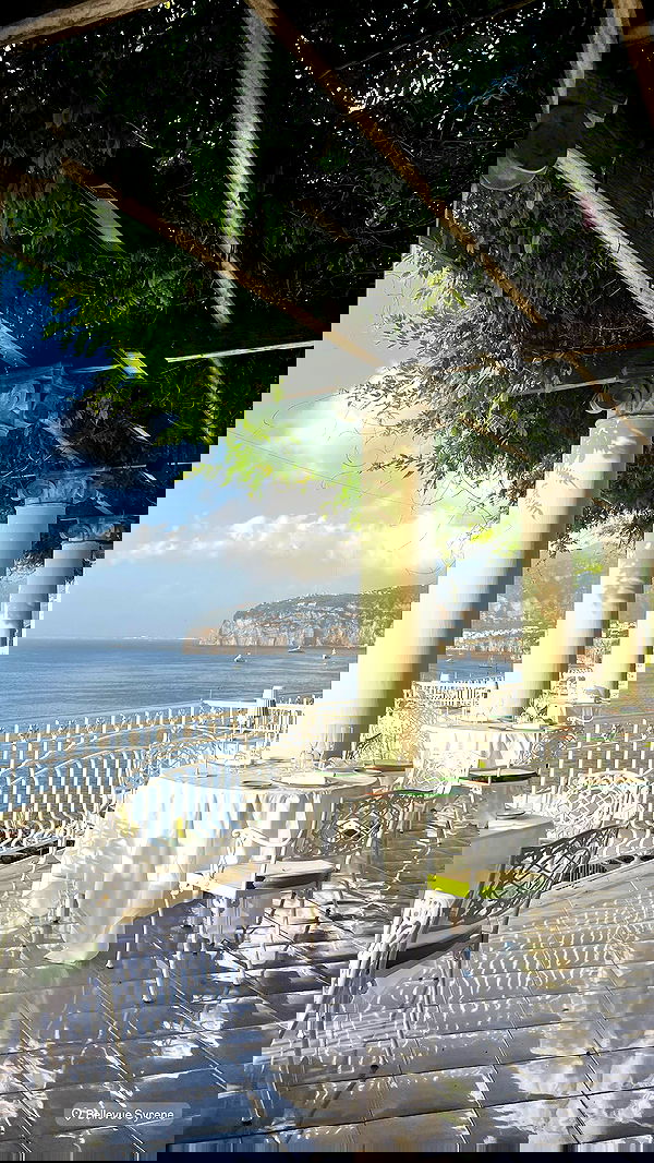 payton.r payton.r archive image