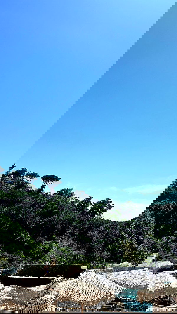 payton.r payton.r archive image