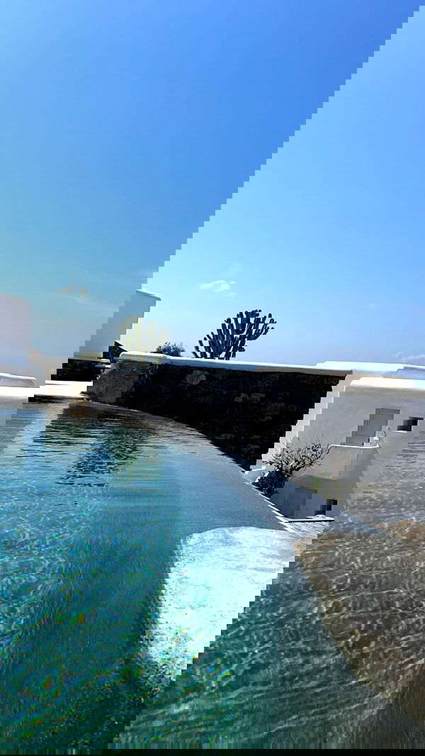 payton.r payton.r archive image