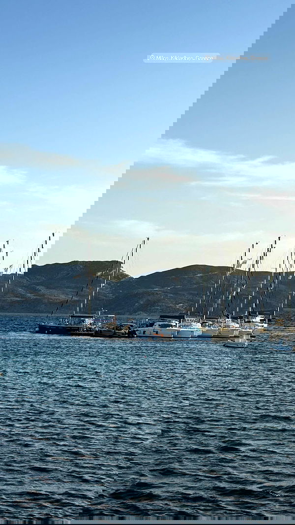 payton.r payton.r archive image