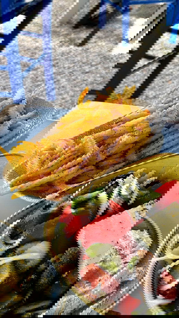 payton.r payton.r archive image