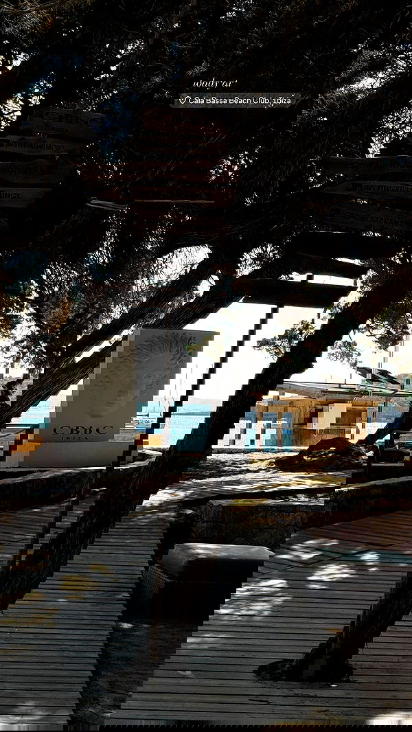 payton.r payton.r archive image