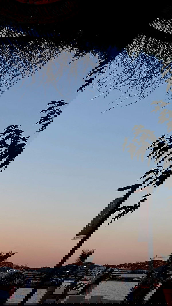 payton.r payton.r archive image