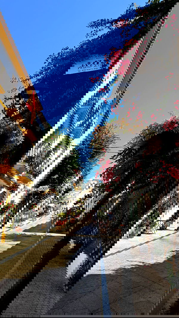 payton.r payton.r archive image