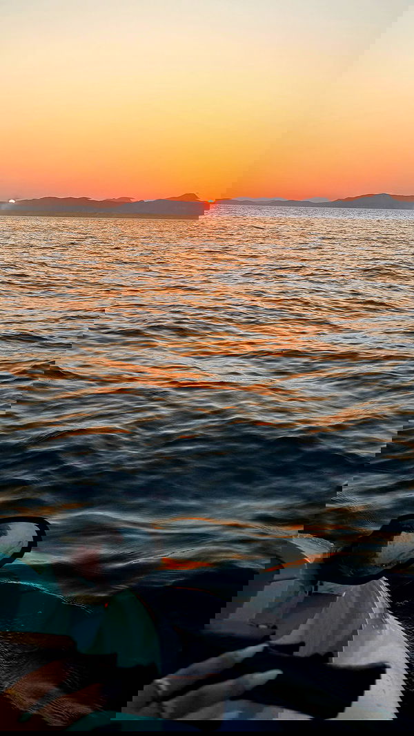 payton.r payton.r archive image