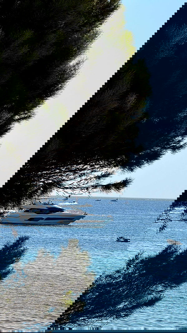 payton.r payton.r archive image