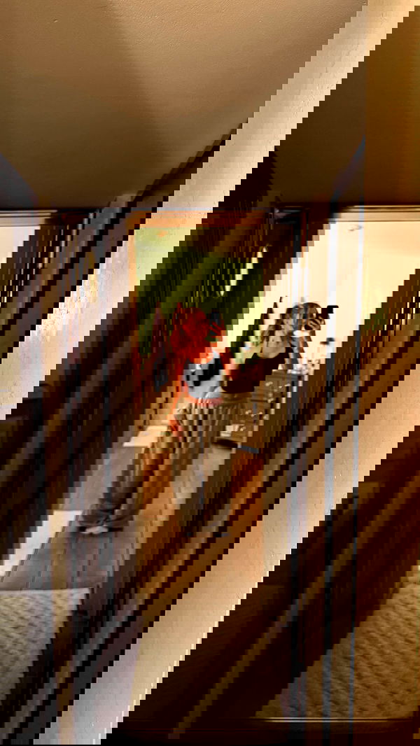 payton.r payton.r archive image