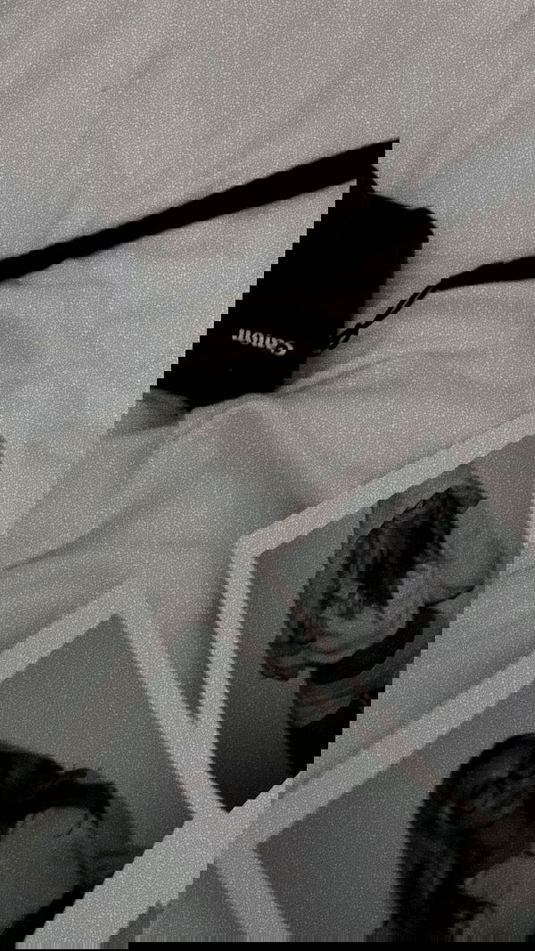 payton.r payton.r archive image