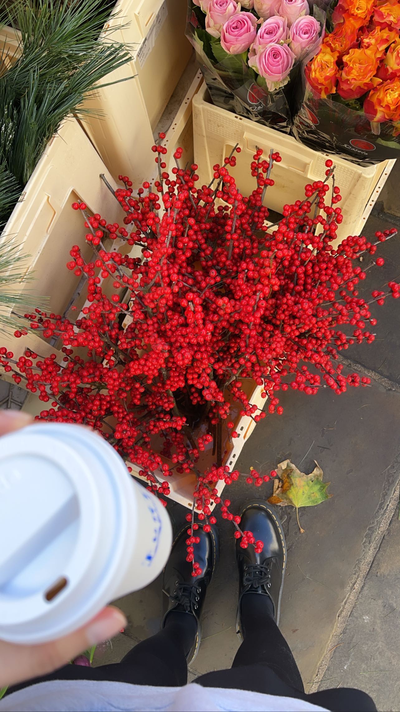 peacake6 instagram image archive image