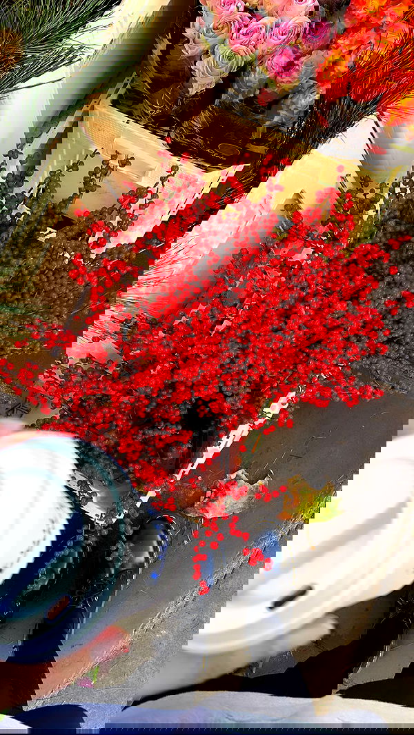 peacake6 image ~ Altpins