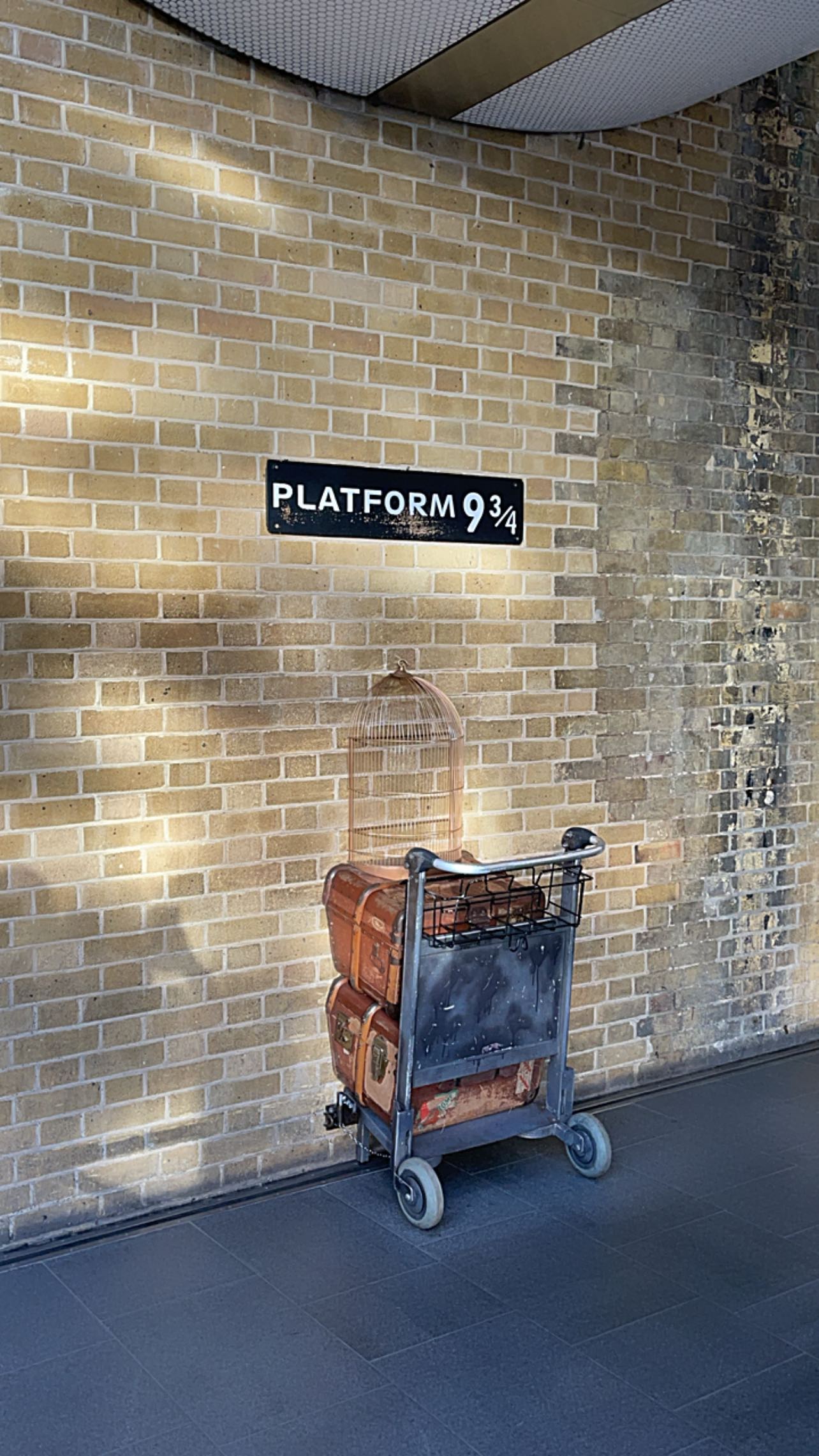 peacake6 instagram image archive image