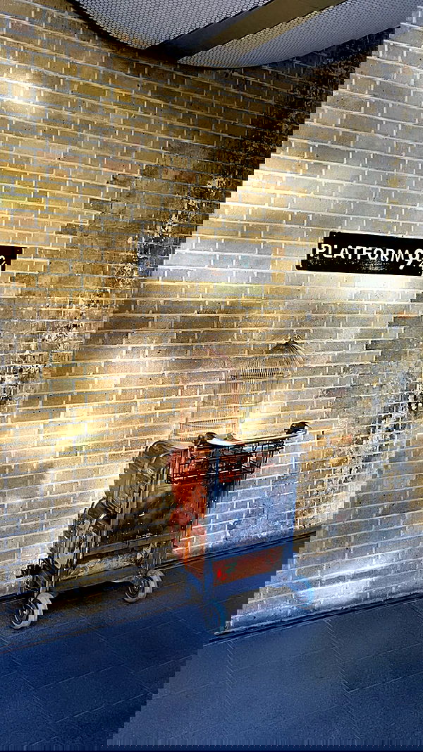 peacake6 image ~ Altpins