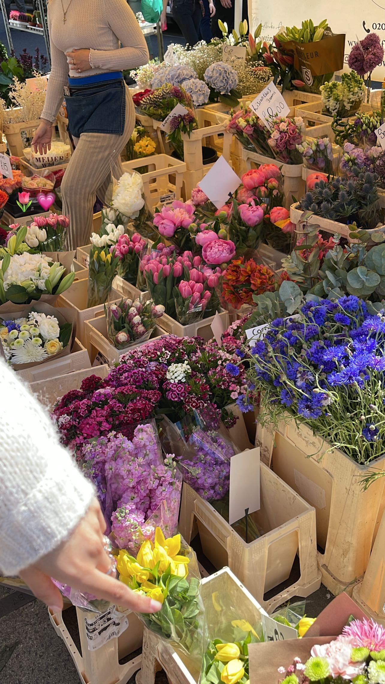 peacake6 instagram image archive image