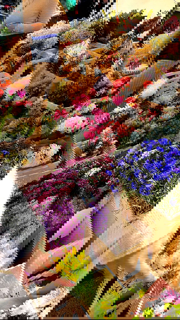 peacake6 image ~ Altpins