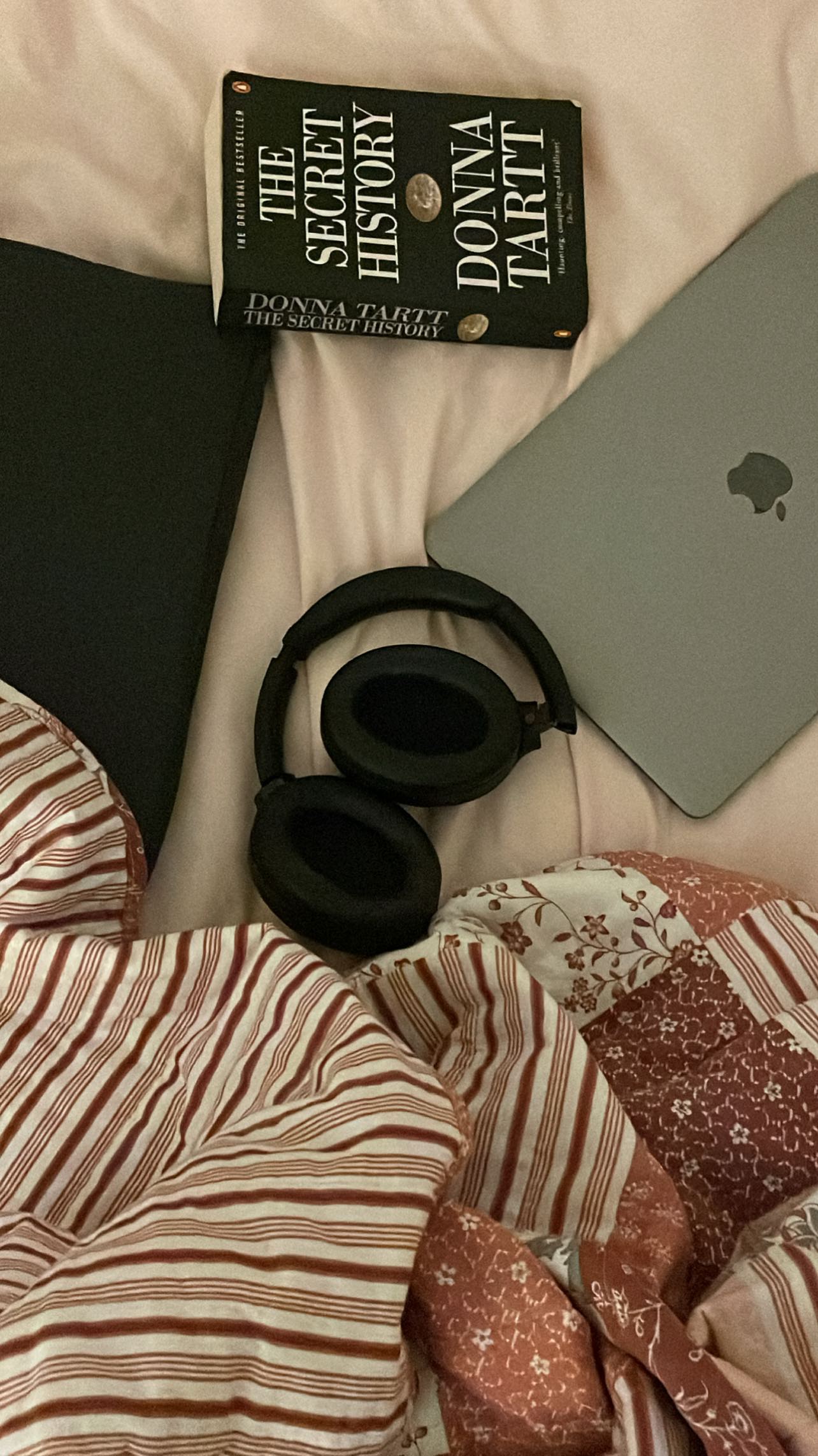 peacake6 instagram image archive image