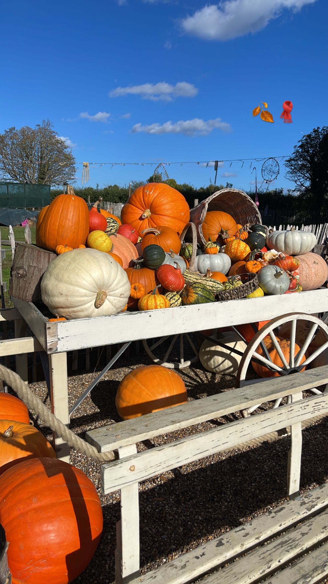 peacake6 instagram image archive image