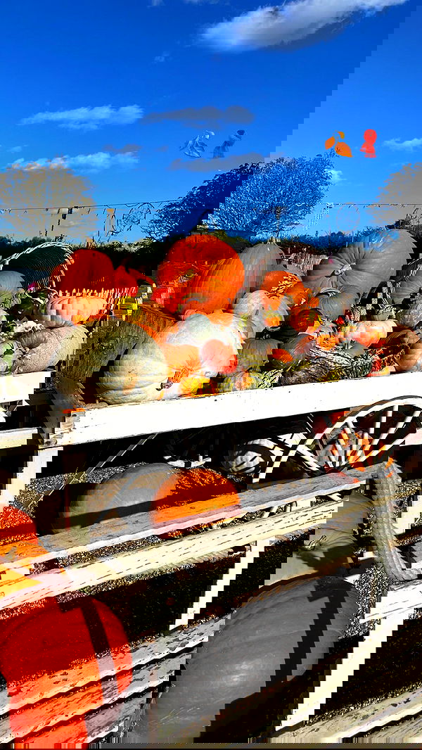 peacake6 image ~ Altpins