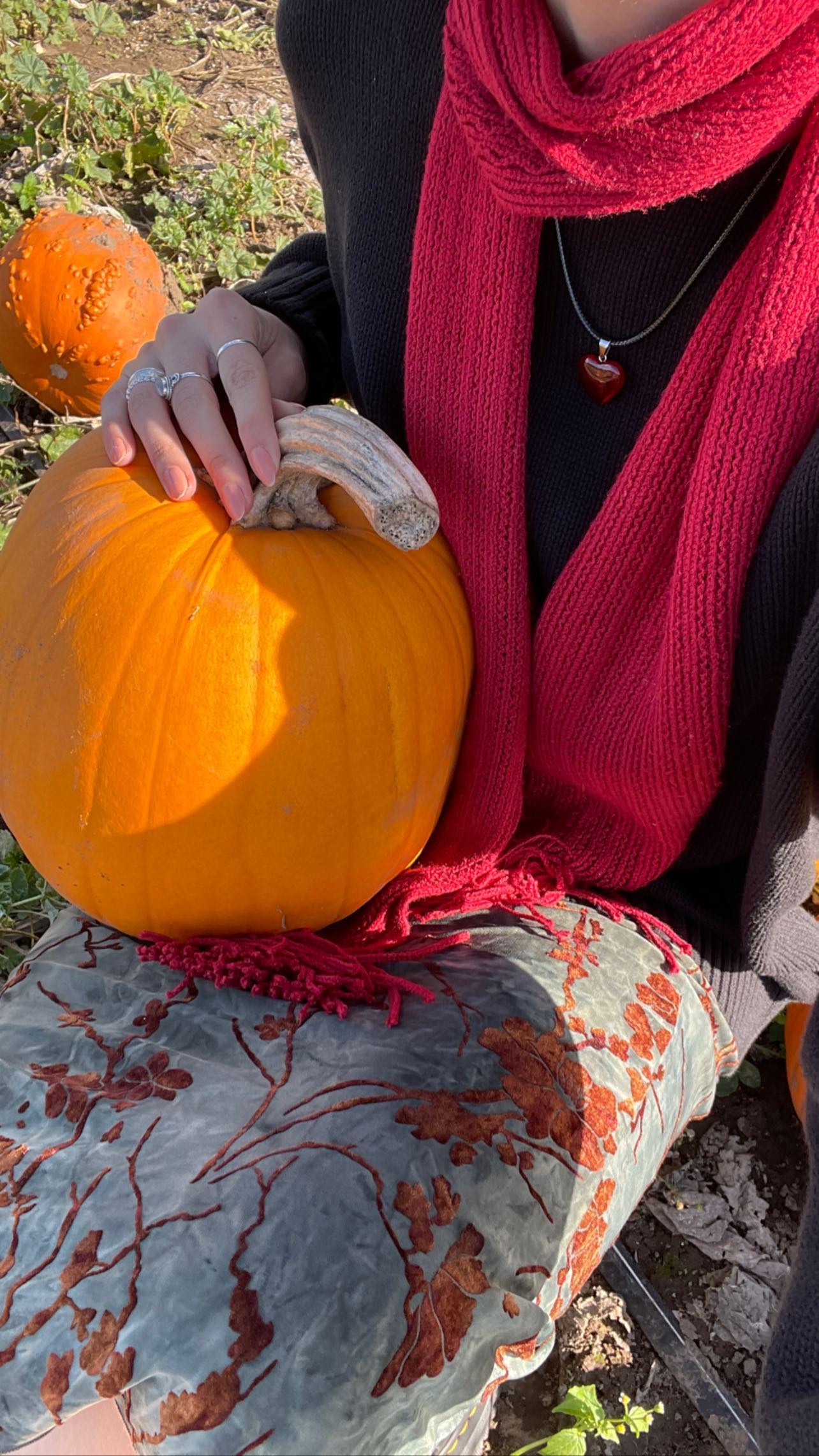 peacake6 instagram image archive image