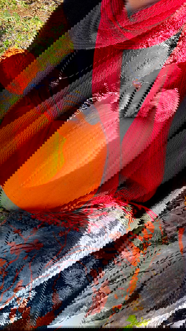 peacake6 image ~ Altpins