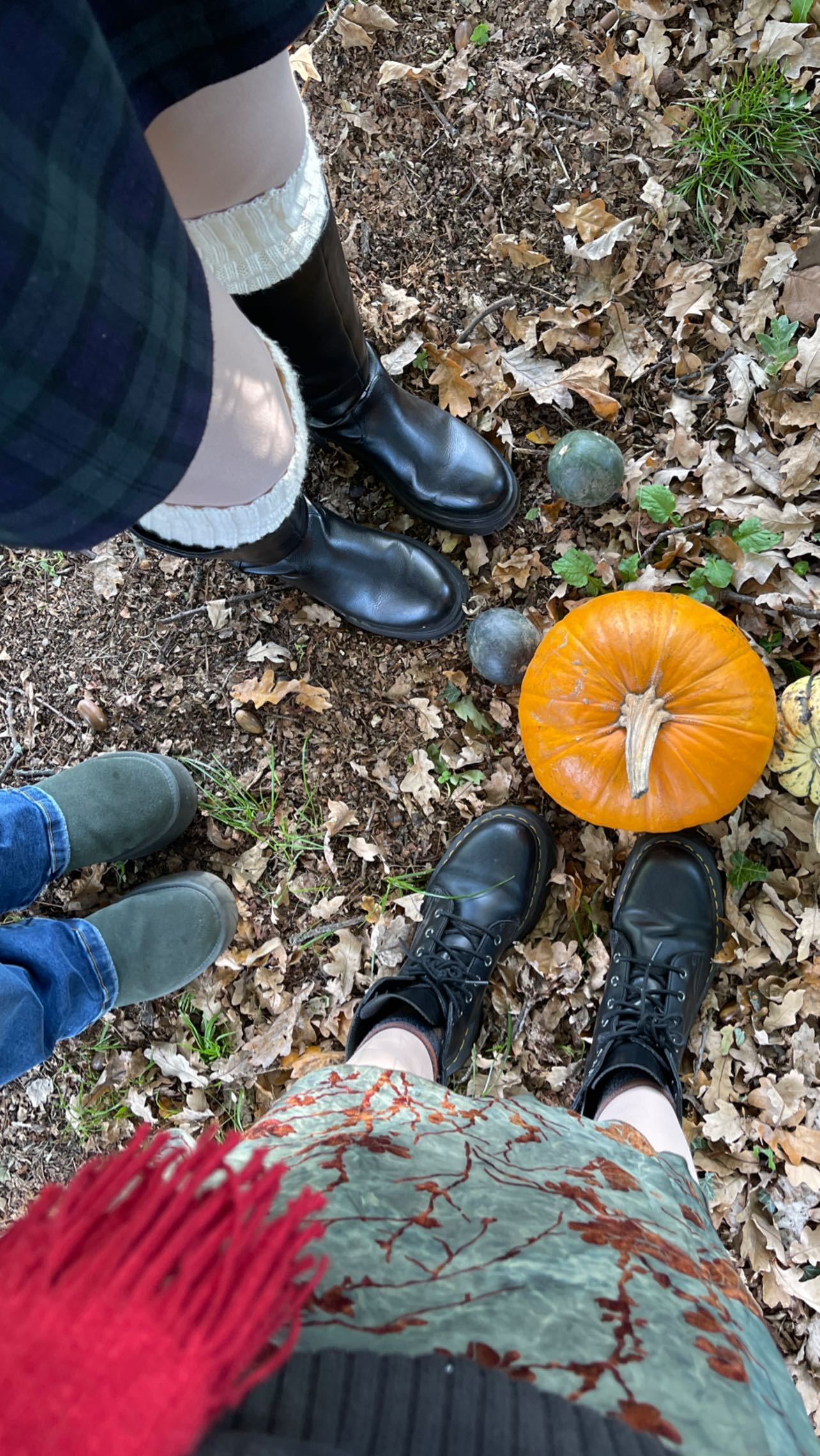 peacake6 instagram image archive image