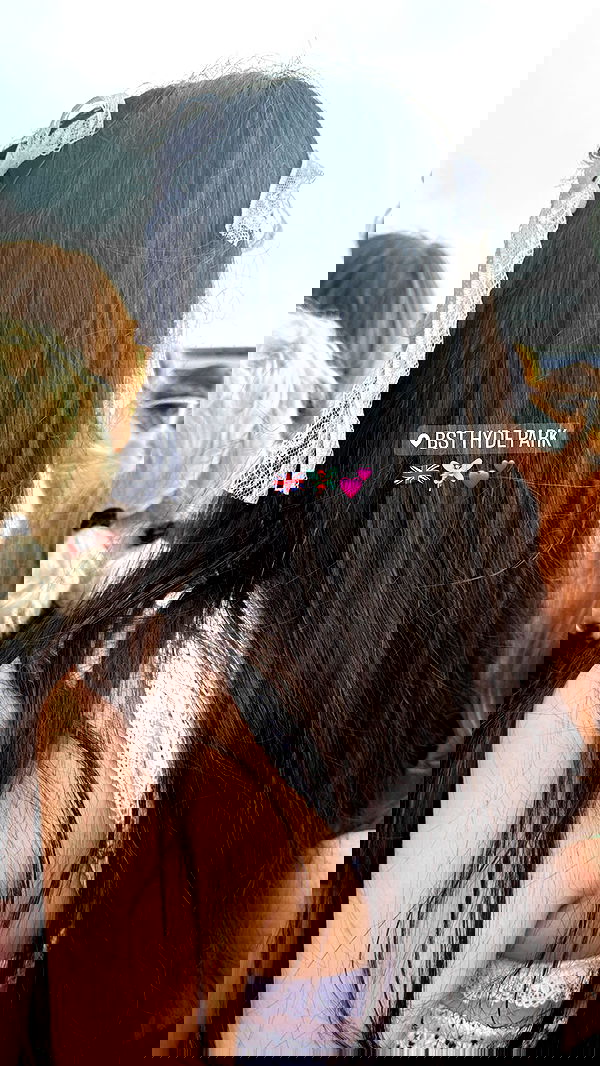 peacake6 image ~ Altpins