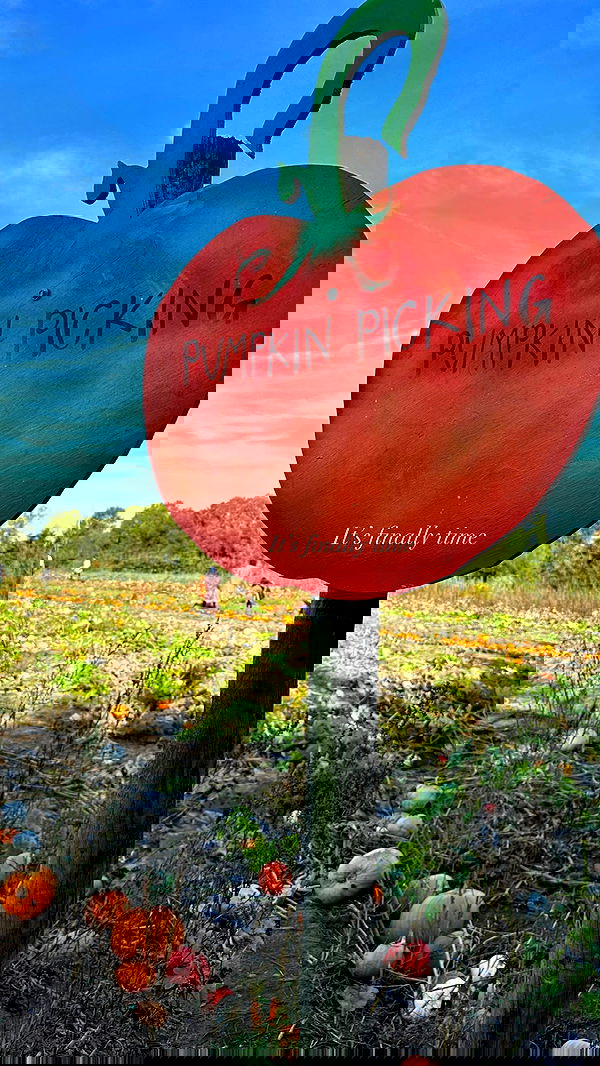 peacake6 image ~ Altpins