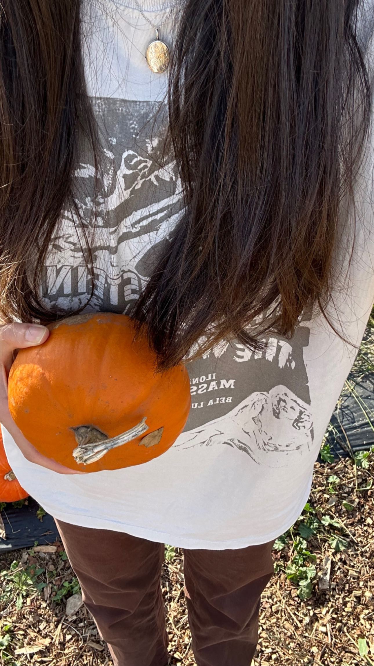 peacake6 instagram image archive image