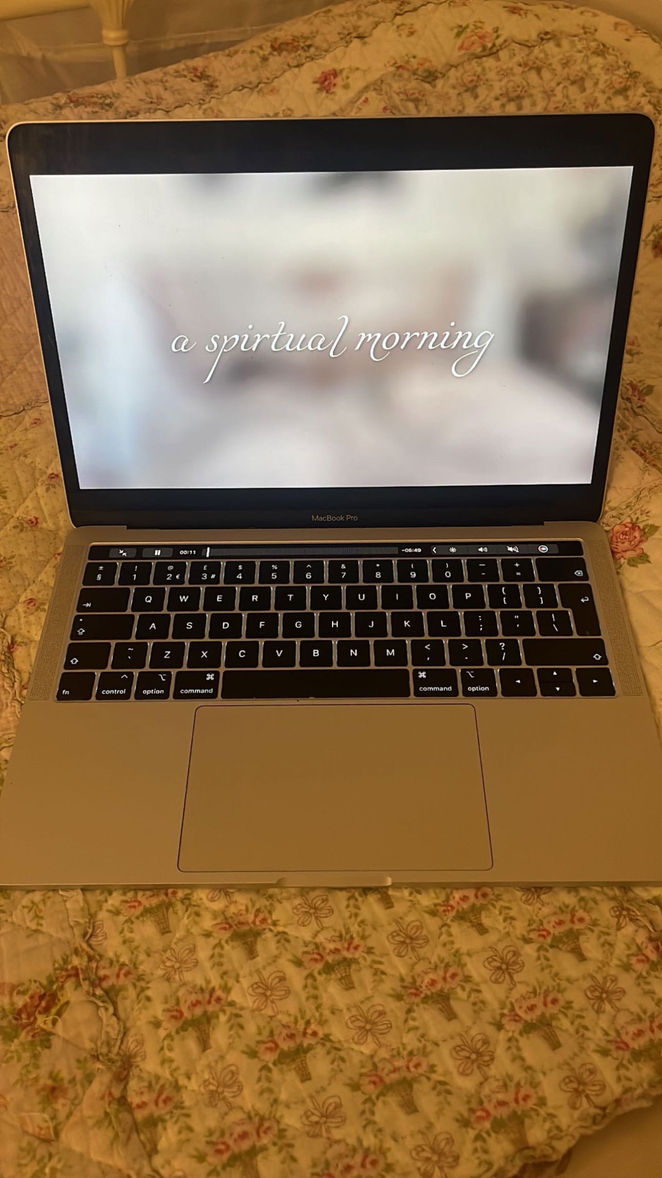 peacake6 instagram image archive image