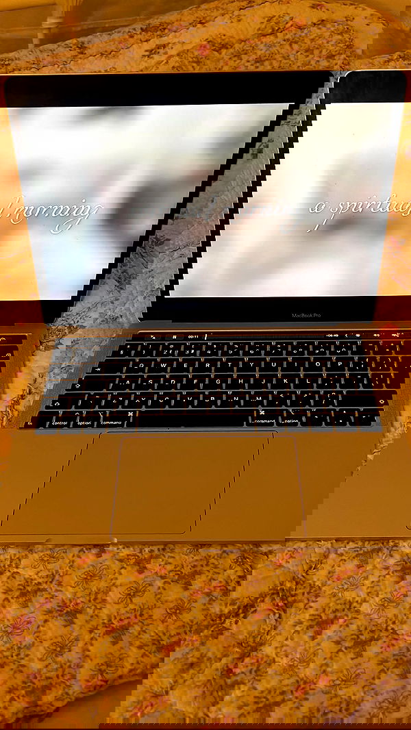 peacake6 image ~ Altpins