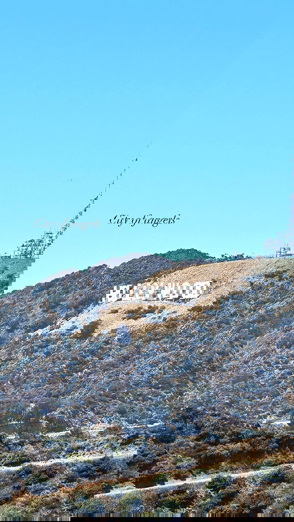 peacake6 image ~ Altpins