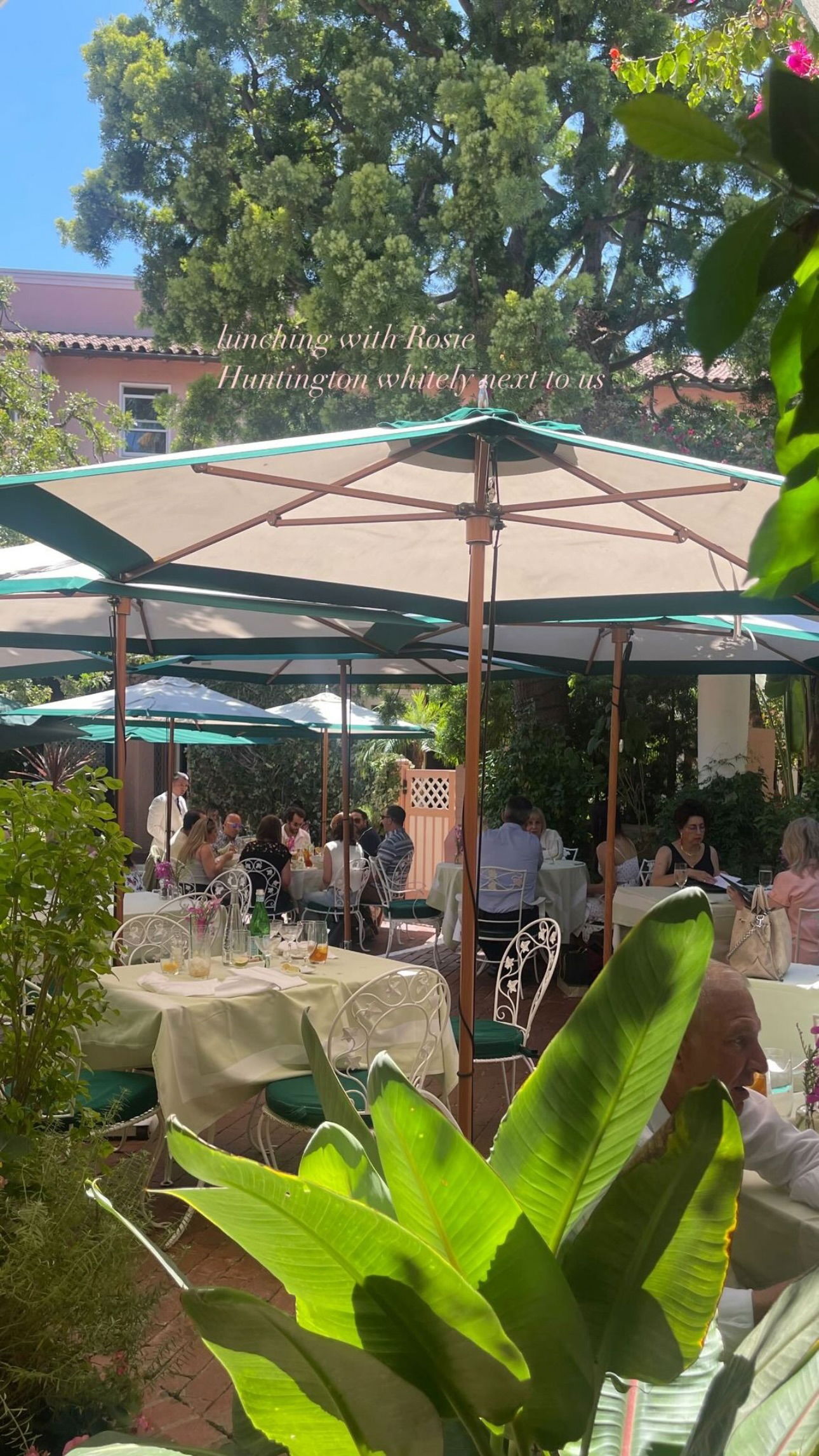 peacake6 instagram image archive image