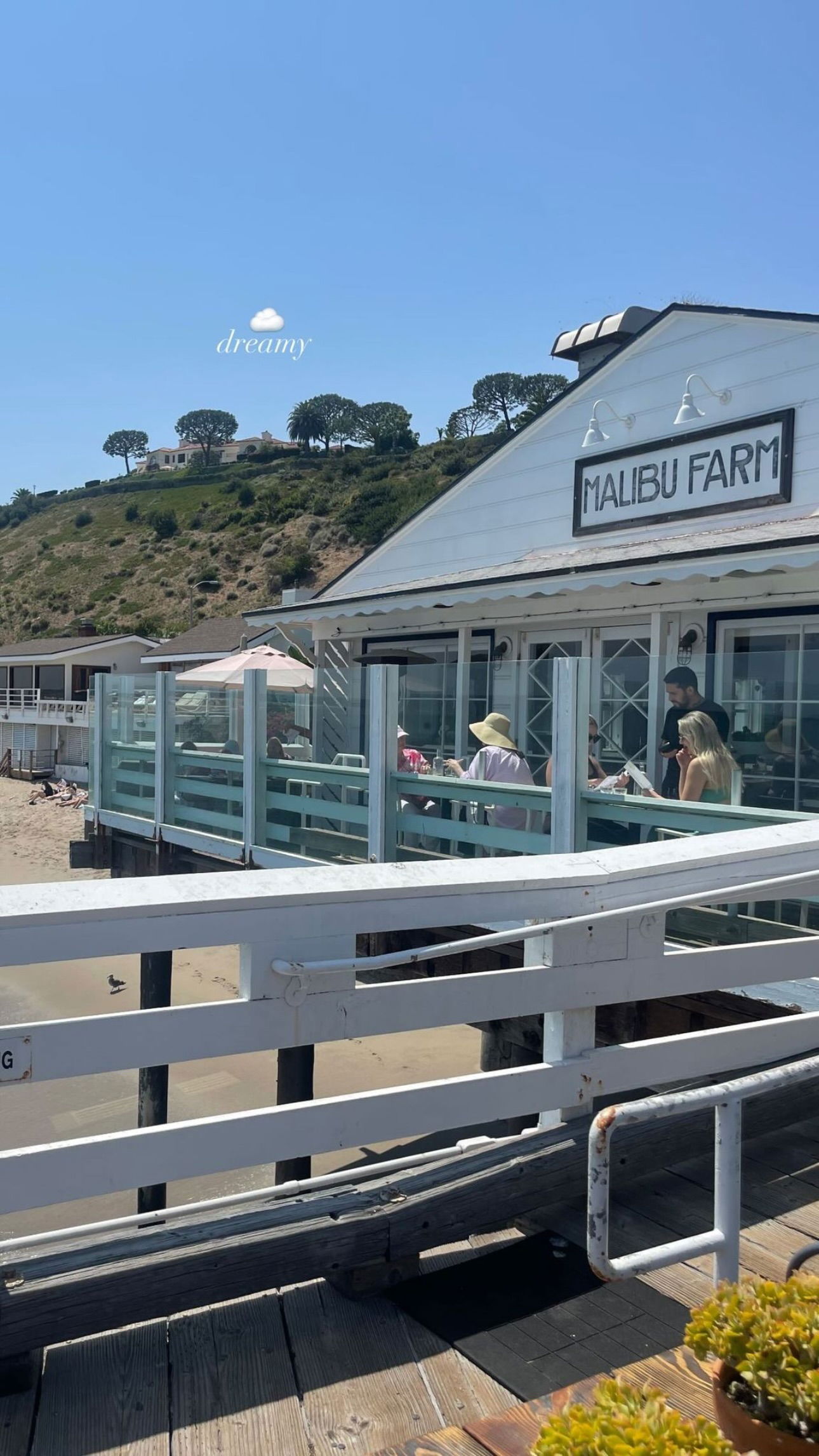 peacake6 instagram image archive image