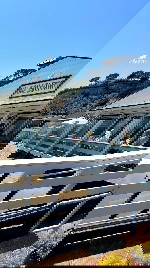 peacake6 image ~ Altpins