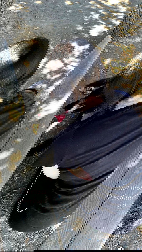 peacake6 image ~ Altpins