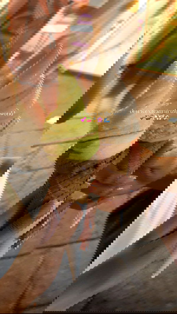 peacake6 image ~ Altpins