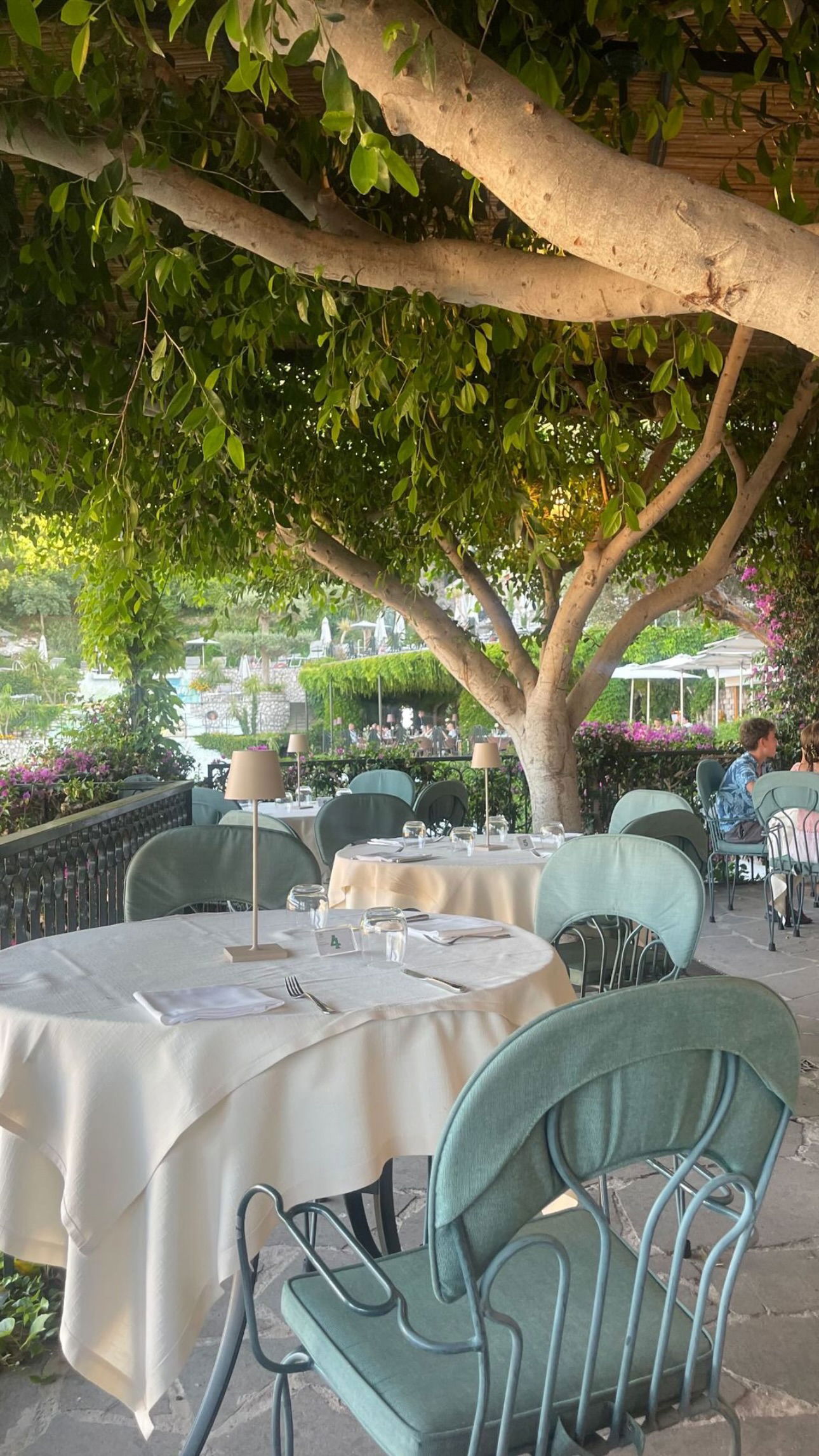 peacake6 instagram image archive image