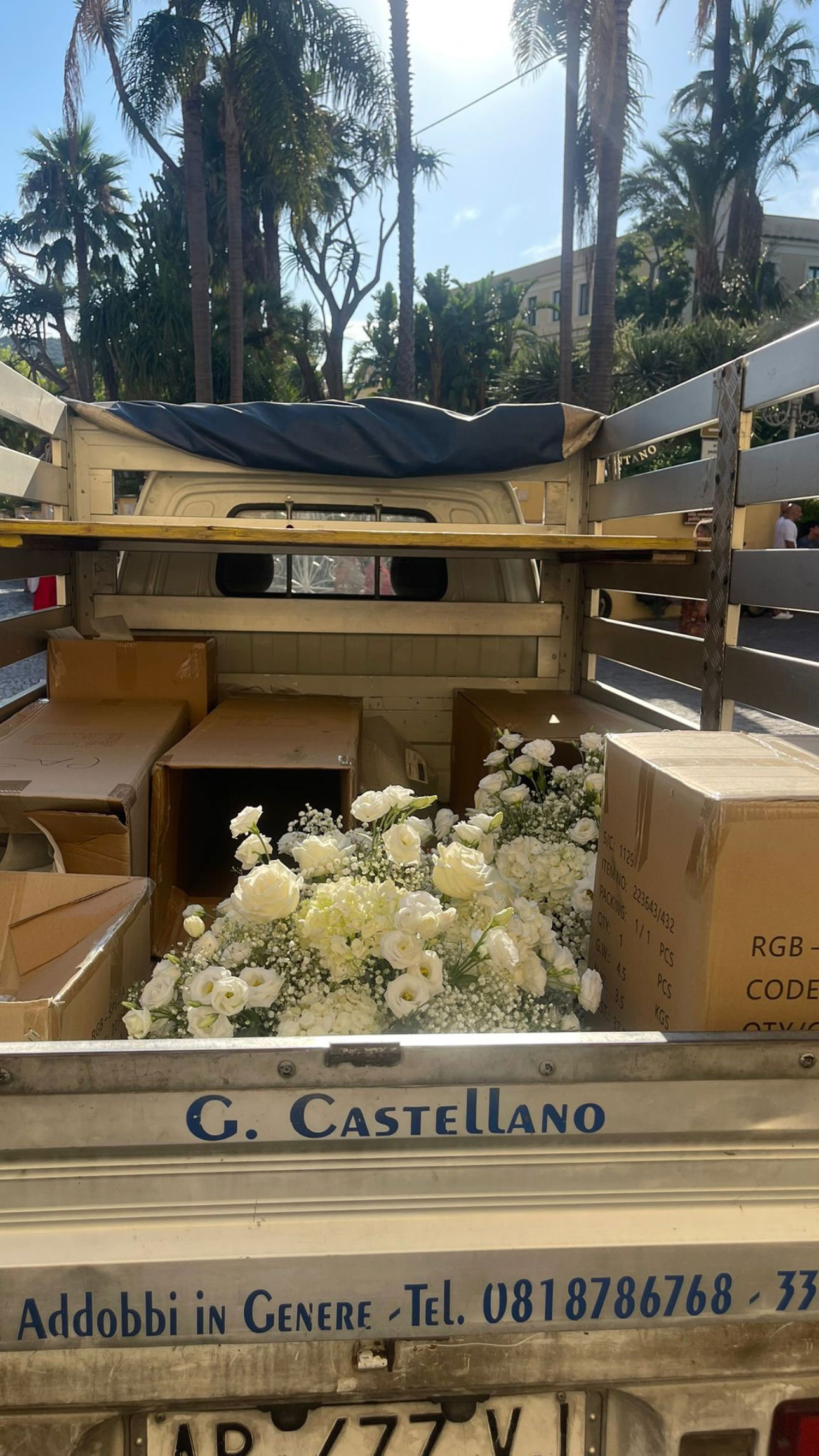 peacake6 instagram image archive image