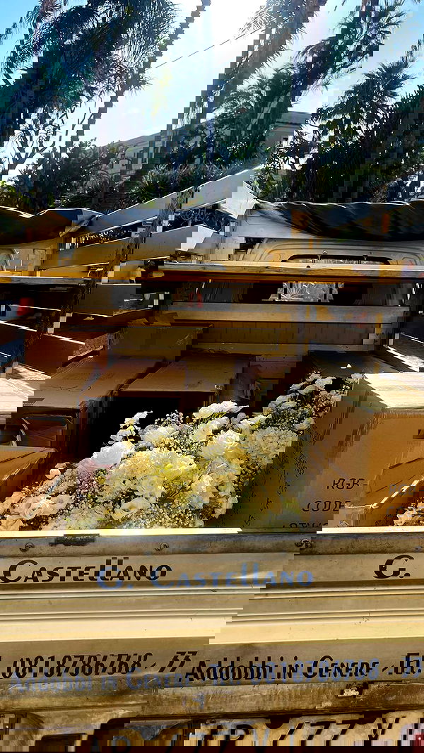 peacake6 image ~ Altpins