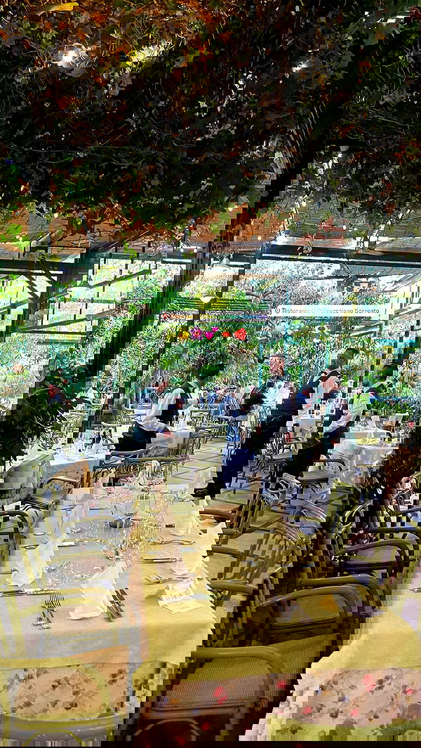 peacake6 image ~ Altpins