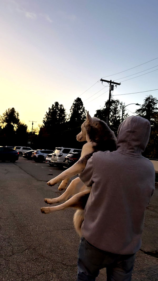 peytonjackss peytonjackss archive image